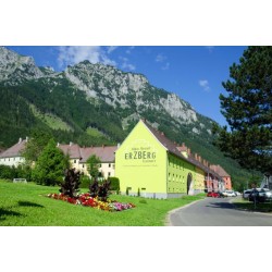 Erzberg Alpin Resort by ALPS RESORTS