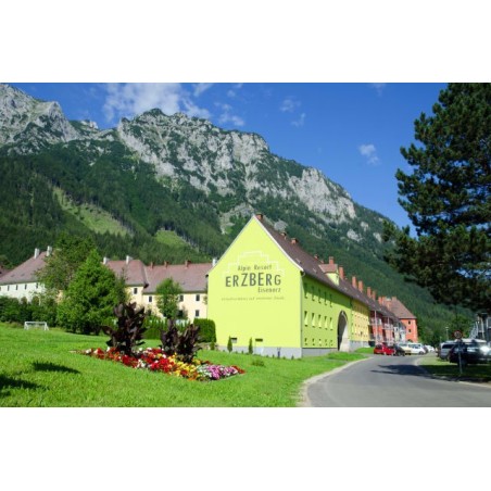 Erzberg Alpin Resort by ALPS RESORTS