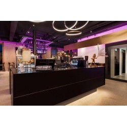 Amedia Lustenau, Trademark Collection by Wyndham