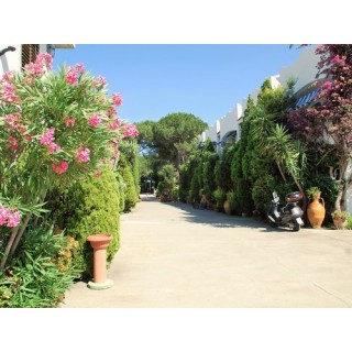 Campeggio Calabrisella