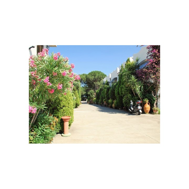 Campeggio Calabrisella