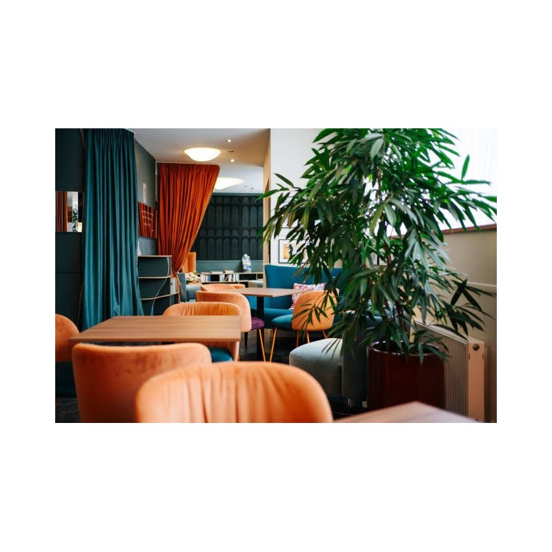 Hotel City