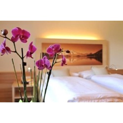 Hotel Tauernstern