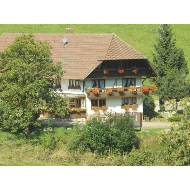 Ferienwohnung in Elzach ab 48€ pro Nacht