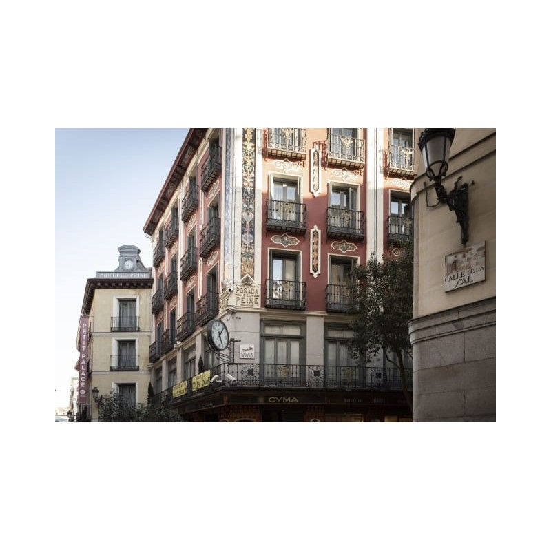 Hotel Petit Palace Posada Del Peine