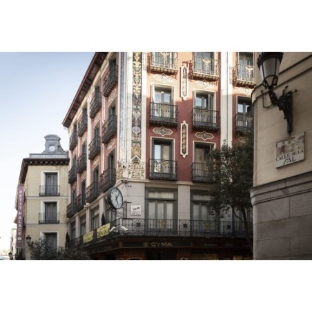 Hotel Petit Palace Posada Del Peine