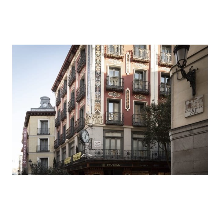 Hotel Petit Palace Posada Del Peine
