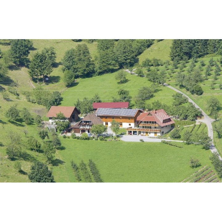 Ferienwohnung in Oberrhein ab 45€ pro Nacht