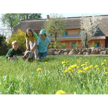Ferienhaus in Neuburg ab 59€ pro Nacht