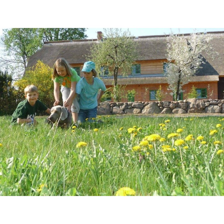 Ferienhaus in Neuburg ab 59€ pro Nacht