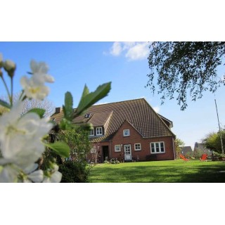 Ferienhaus in Wattenmeer ab 50€ pro Nacht