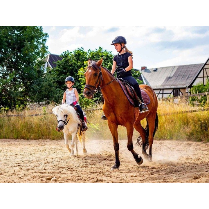 Ferienhaus in Ostthüringen ab 51€ pro Nacht