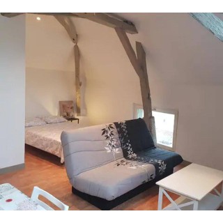 Ferienwohnung in Vienne ab 55€ pro Nacht