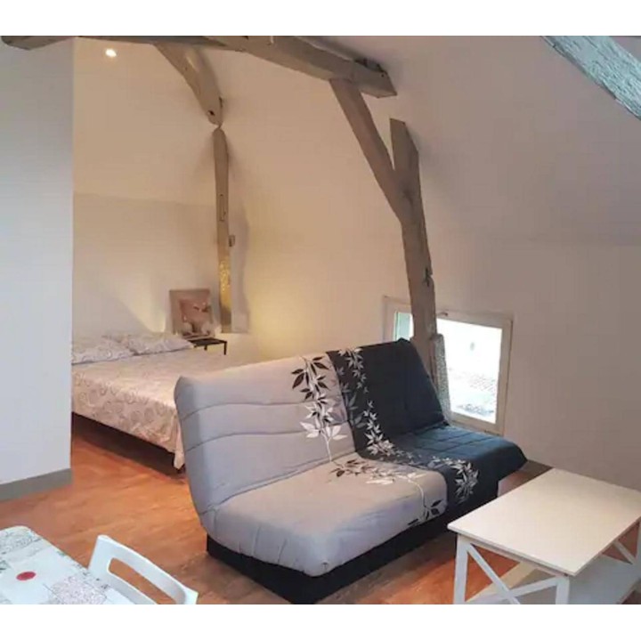 Ferienwohnung in Vienne ab 55€ pro Nacht
