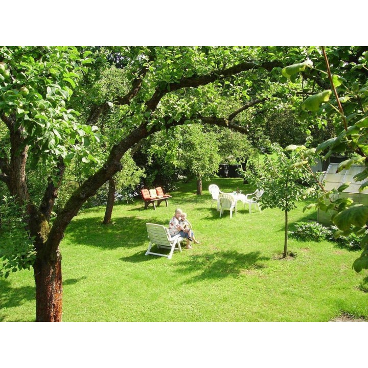 Ferienwohnung in Celle ab 55€ pro Nacht