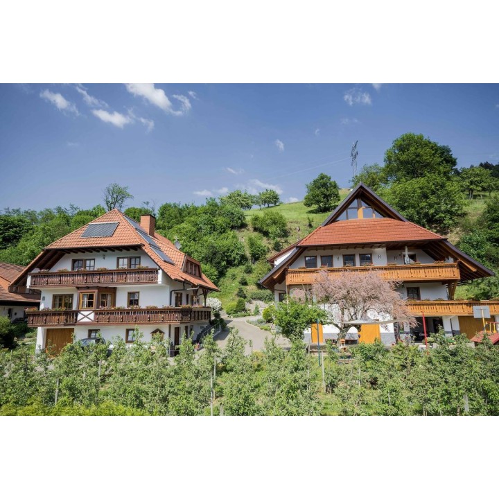 Ferienwohnung in Oberrhein ab 48€ pro Nacht