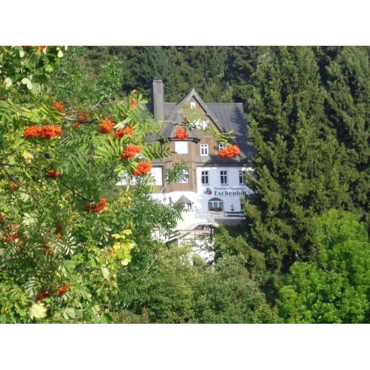 Ferienwohnung in Erzgebirge ab 40€ pro Nacht