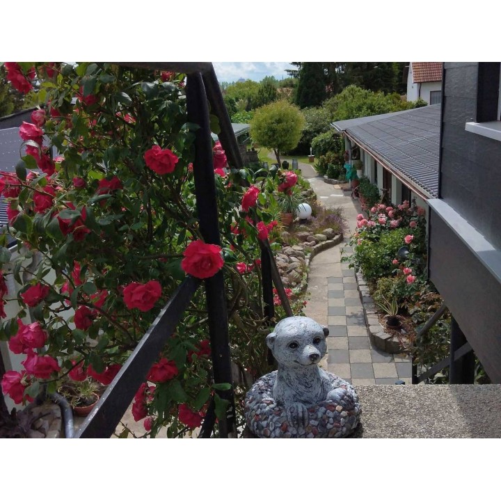 Ferienwohnung in Rostock ab 59€ pro Nacht