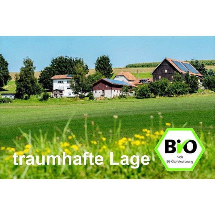 Ferienhaus in Franken ab 55€ pro Nacht