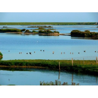 Ferienwohnung in Dagebüll ab 55€ pro Nacht