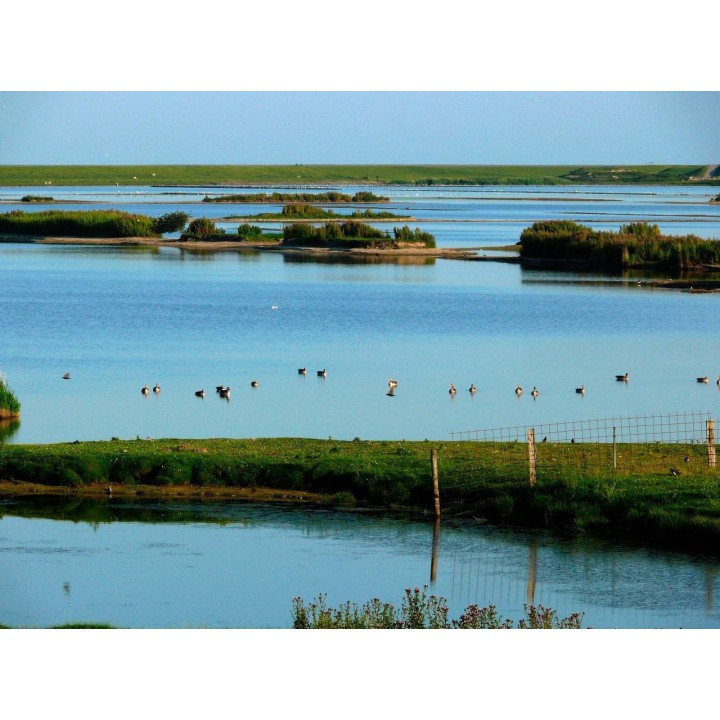 Ferienwohnung in Dagebüll ab 55€ pro Nacht