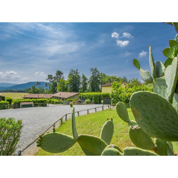 Ferienhaus in Lucca Provinz ab 52€ pro Nacht