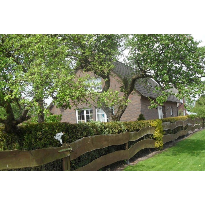 Ferienwohnung in Aurich ab 54€ pro Nacht