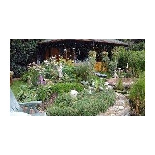 Ferienwohnung in Westharz ab 58€ pro Nacht