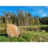 Ferienhaus in Læsø ab 58€ pro Nacht