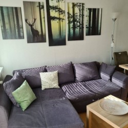 Ferienwohnung in Harz ab 51€ pro Nacht