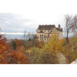 Ferienwohnung in Oberschwaben ab 55€ pro Nacht