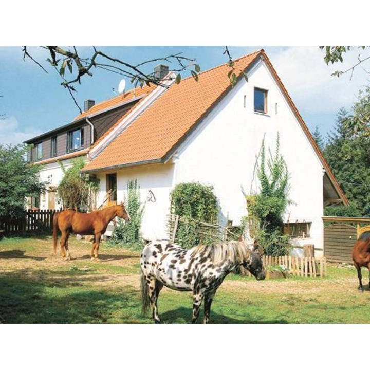 Ferienwohnung in Eifel ab 47€ pro Nacht