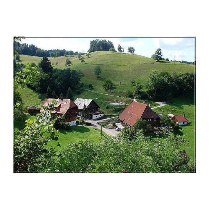 Ferienwohnung in Wolfach ab 50€ pro Nacht