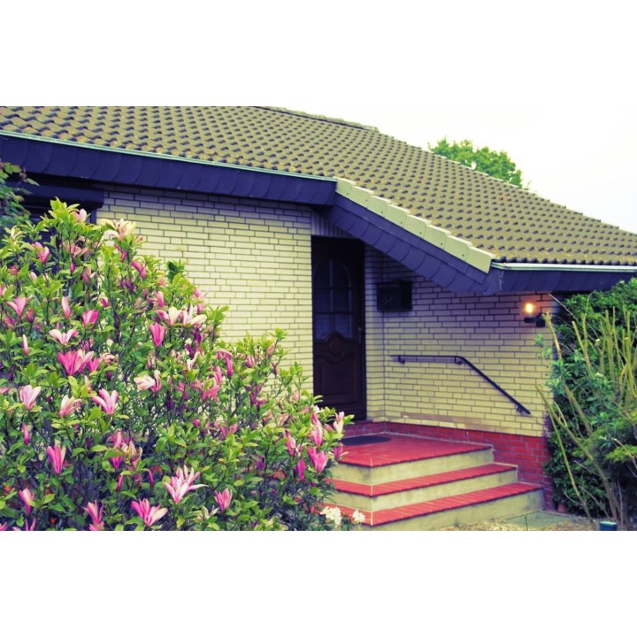 Ferienhaus in Stoltebüll ab 55€ pro Nacht