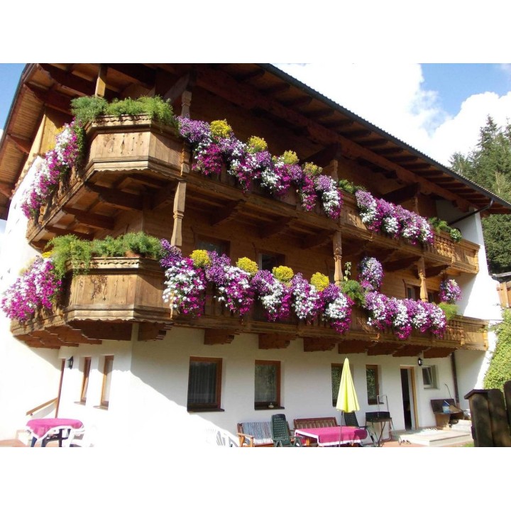 Ferienwohnung in Wildschönau ab 54€ pro Nacht