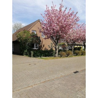 Ferienwohnung in Großheide ab 46€ pro Nacht