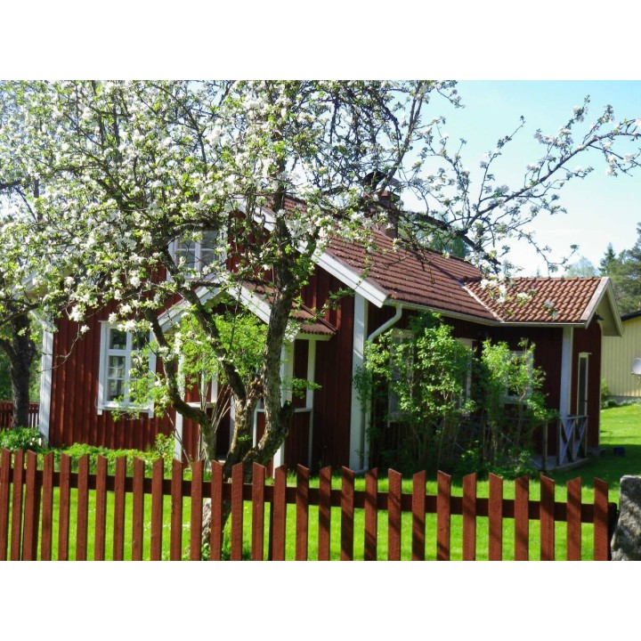 Ferienhaus in Tranemo ab 39€ pro Nacht