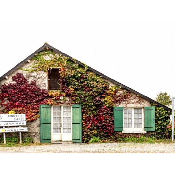 Ferienhaus in Le Gâvre ab 42€ pro Nacht