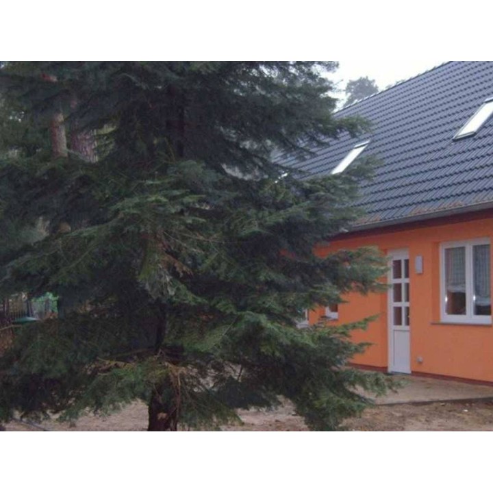 Ferienwohnung in Güstrow ab 29€ pro Nacht