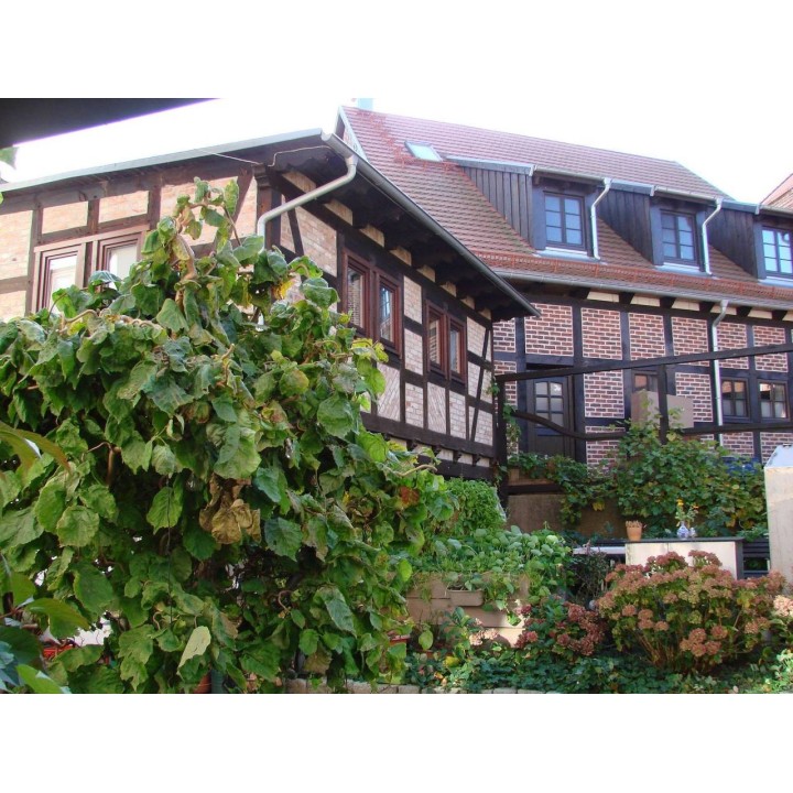 Ferienwohnung in Wolgast ab 56€ pro Nacht