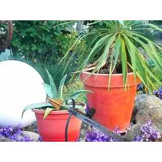 Ferienwohnung in Rostock ab 52€ pro Nacht