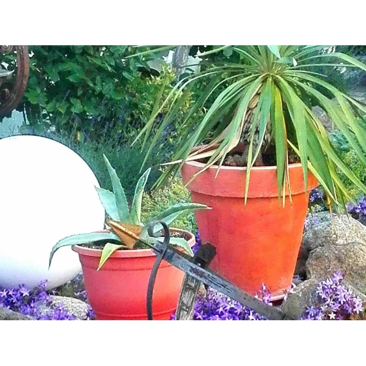 Ferienwohnung in Rostock ab 52€ pro Nacht