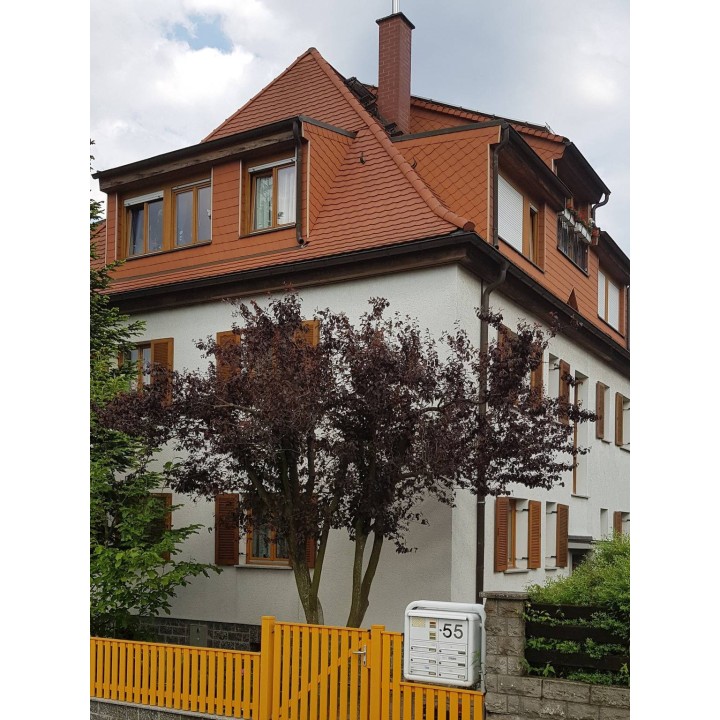 Ferienwohnung in Dresden ab 55€ pro Nacht