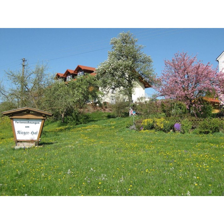 Ferienwohnung in Ostbayern ab 50€ pro Nacht