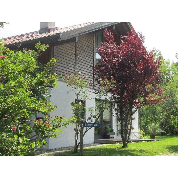 Ferienwohnung in Chiemgau ab 58€ pro Nacht