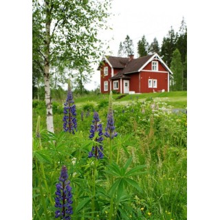 Ferienhaus in Smaland ab 45€ pro Nacht