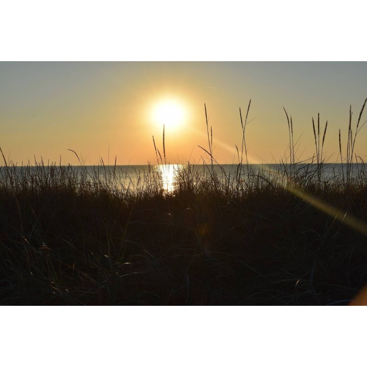 Ferienwohnung in Rügen ab 56€ pro Nacht