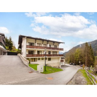 Ferienwohnung in Pinzgau ab 59€ pro Nacht