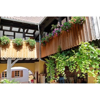 Ferienwohnung in Müllheim ab 54€ pro Nacht