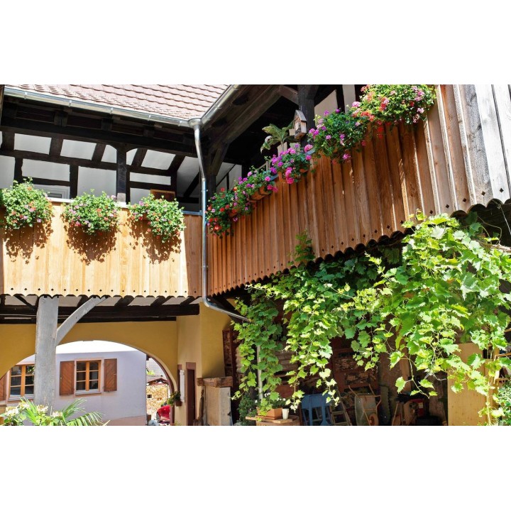 Ferienwohnung in Müllheim ab 54€ pro Nacht